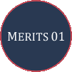 MERITS 01