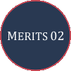 MERITS 02