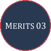 MERITS 03